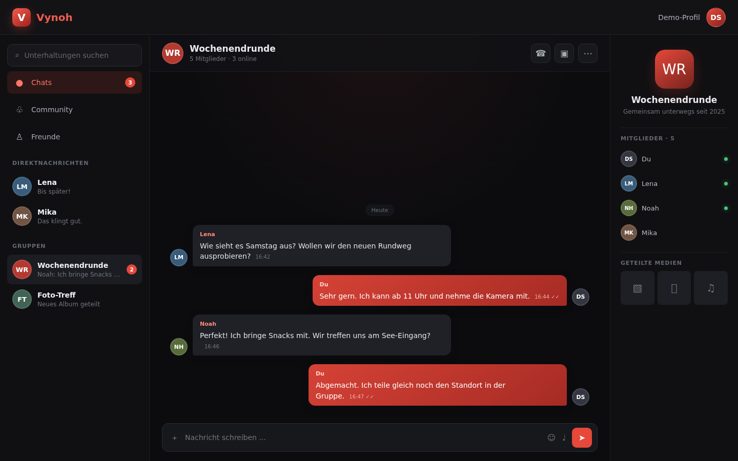 Beispielansicht eines Vynoh-Gruppenchats mit fiktiven Inhalten